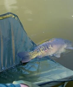 Gardner Safety Sling Mat Fish Care -Gardner Online Shop gardner safety sling mat lifestyle 3